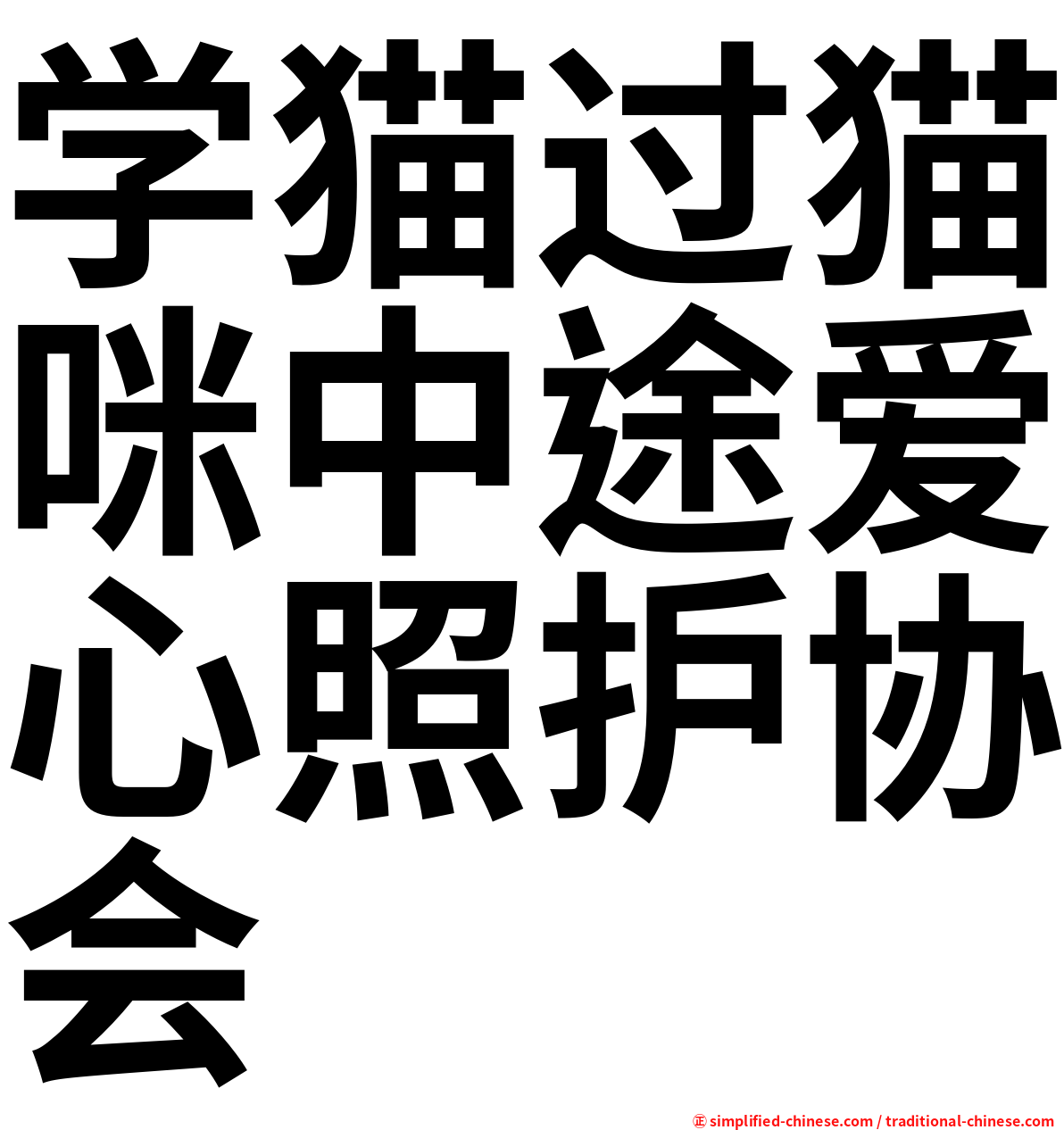 学猫过猫咪中途爱心照护协会