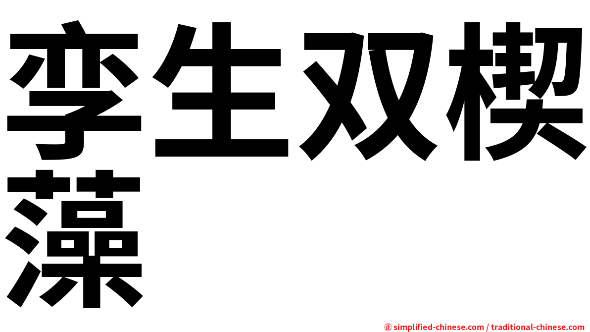 孪生双楔藻