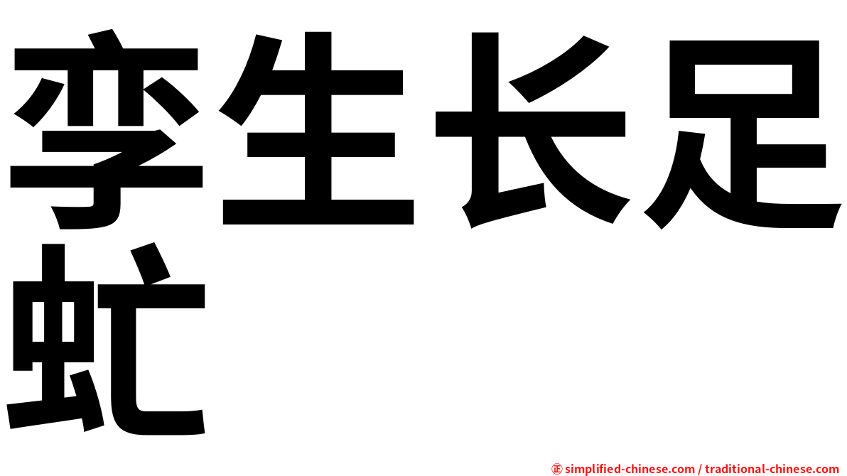 孪生长足虻