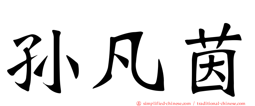 孙凡茵