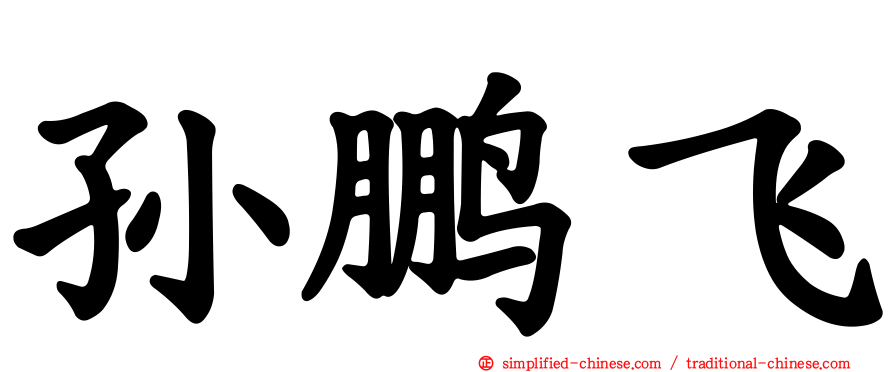 孙鹏飞