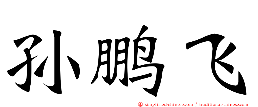 孙鹏飞