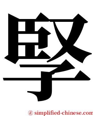 孯 serif font
