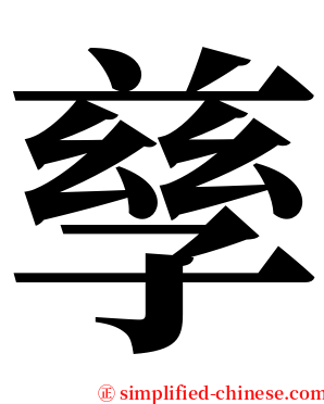 孳 serif font