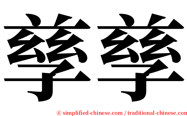 孳孳 serif font