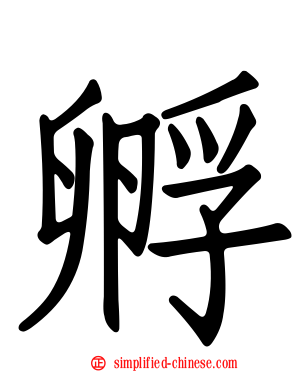 孵