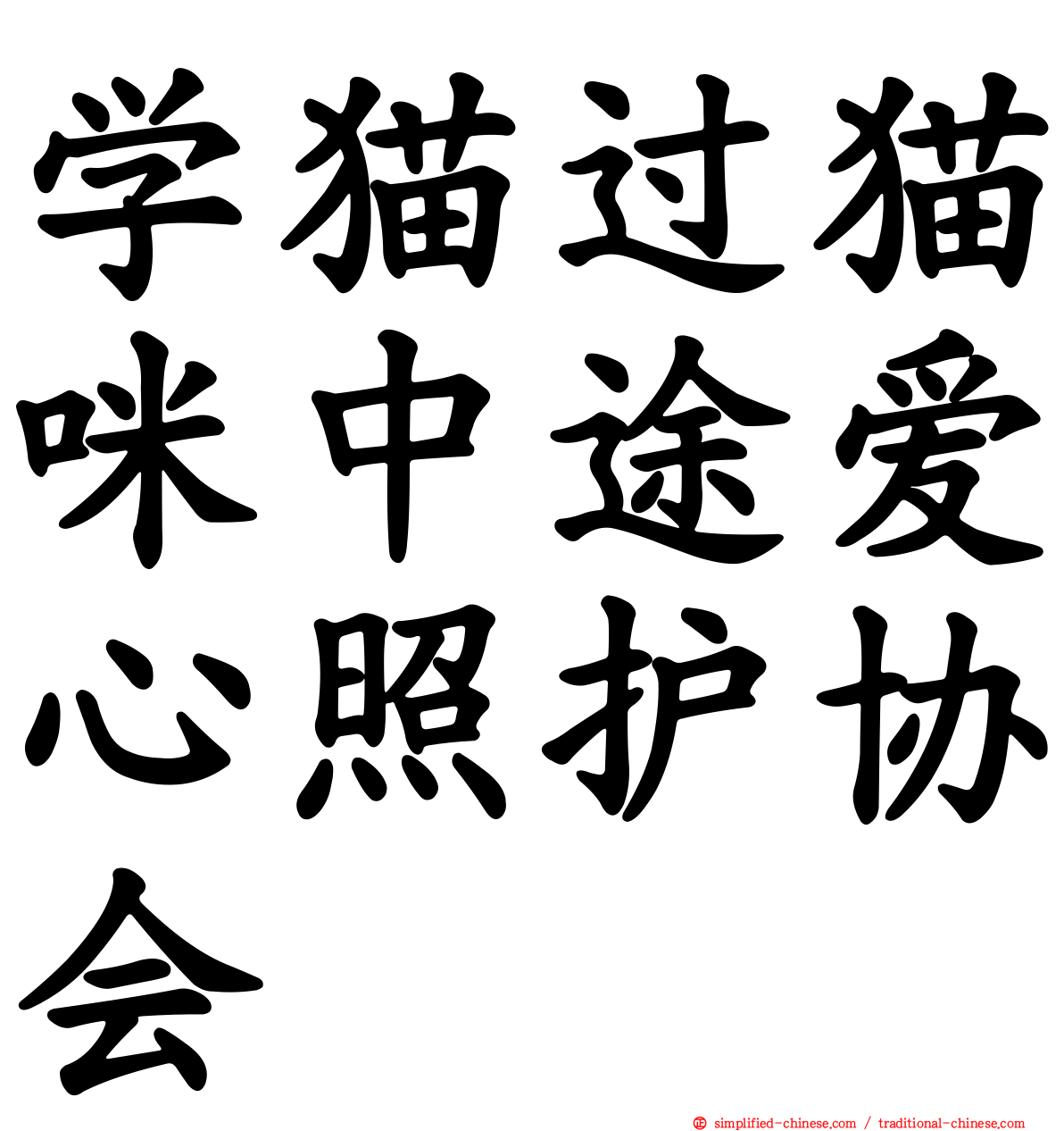 学猫过猫咪中途爱心照护协会