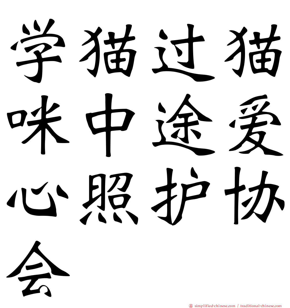 学猫过猫咪中途爱心照护协会