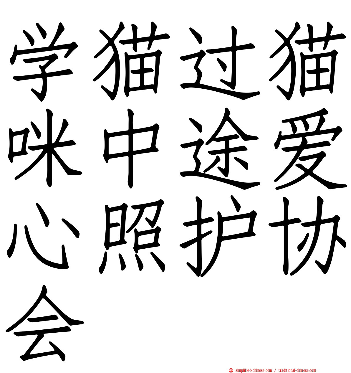 学猫过猫咪中途爱心照护协会