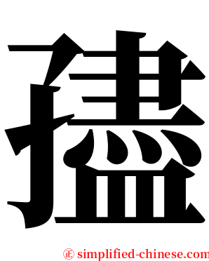 孻 serif font