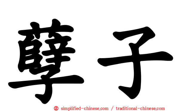 孽子