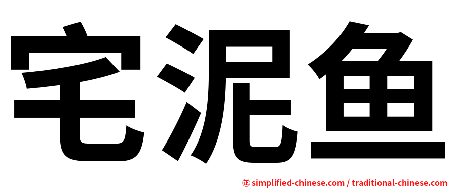 宅泥鱼
