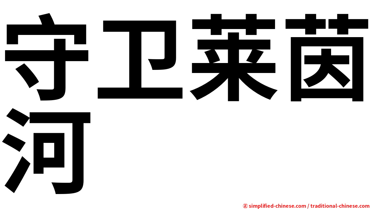 守卫莱茵河