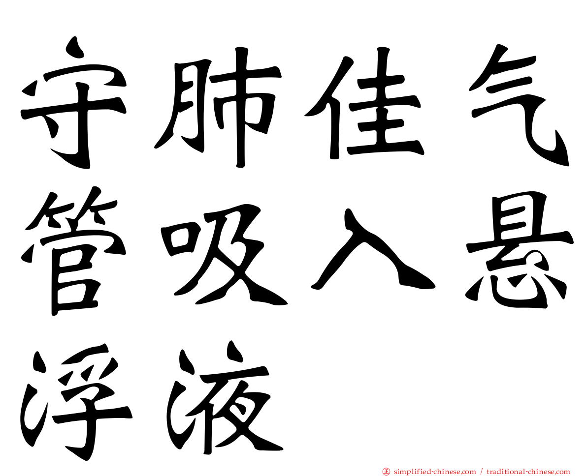 守肺佳气管吸入悬浮液