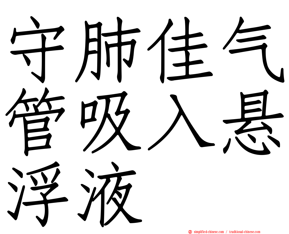 守肺佳气管吸入悬浮液