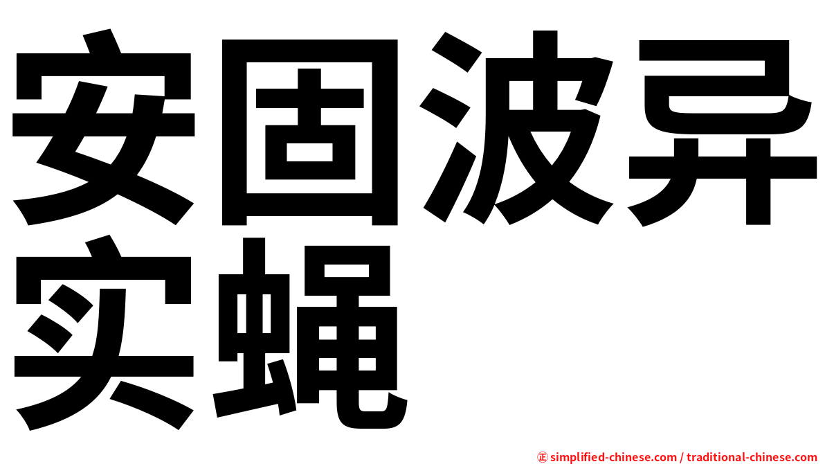 安固波异实蝇