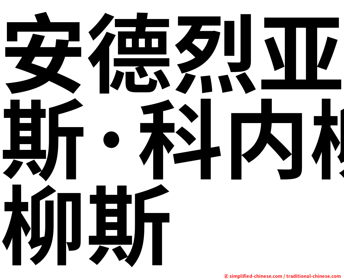 安德烈亚斯·科内柳斯