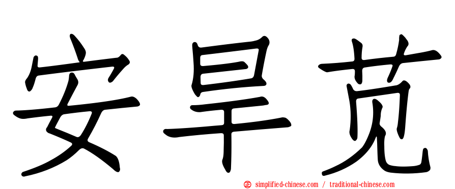 安旱苋