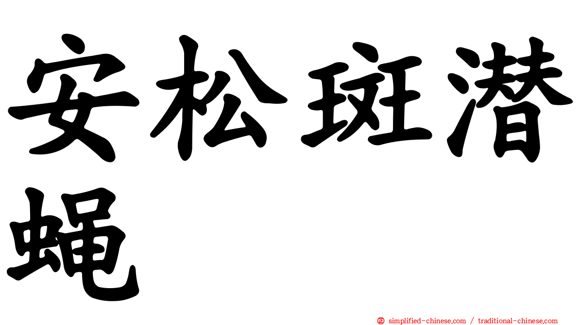 安松斑潜蝇