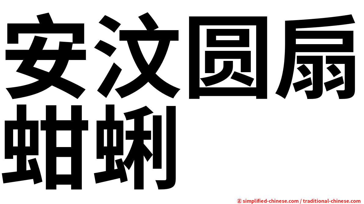 安汶圆扇蚶蜊
