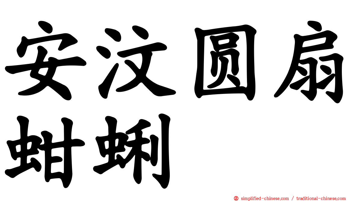 安汶圆扇蚶蜊