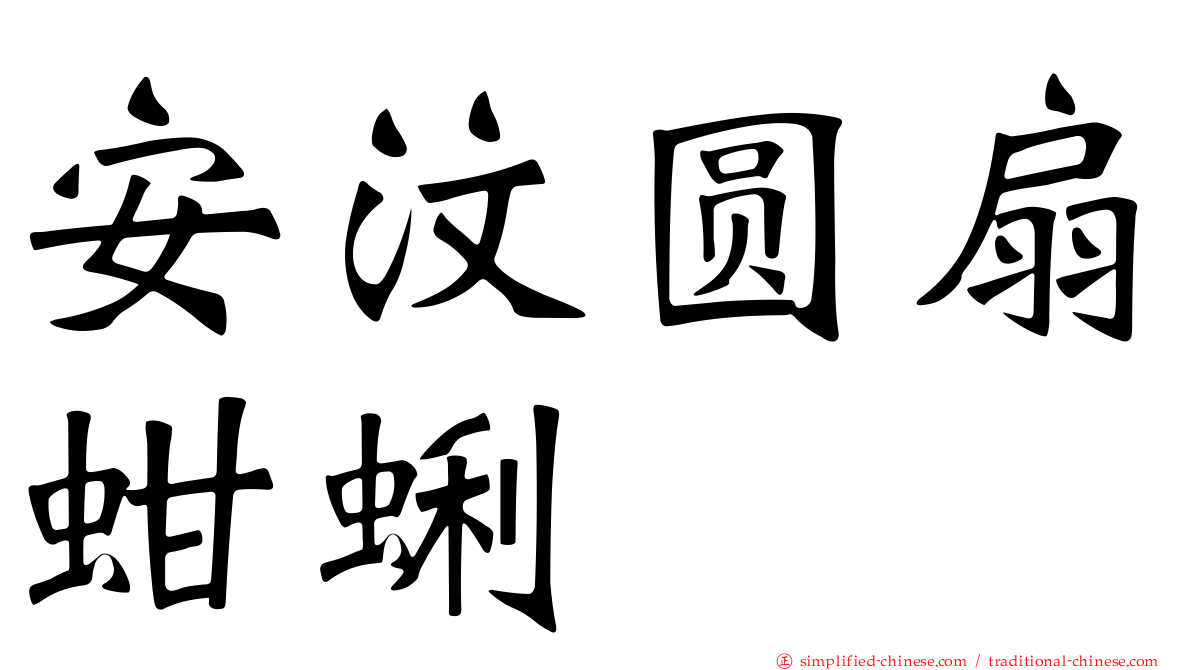 安汶圆扇蚶蜊