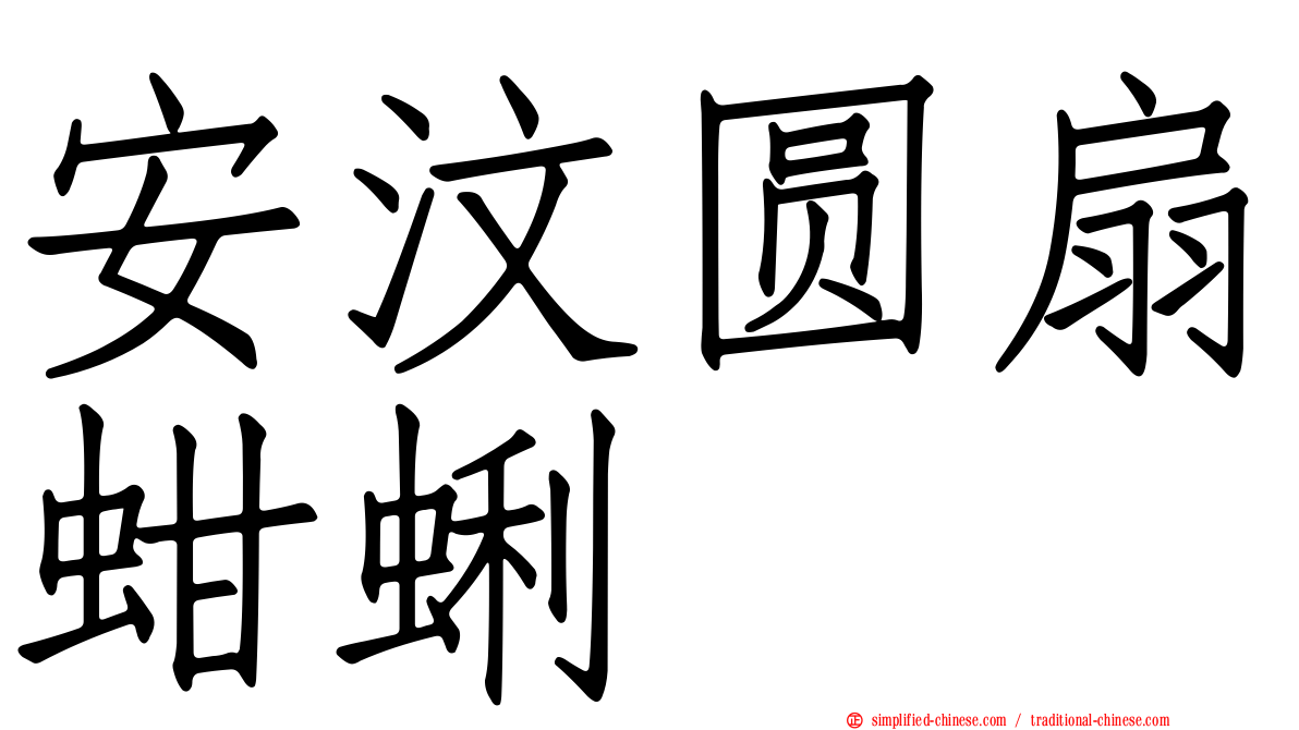 安汶圆扇蚶蜊