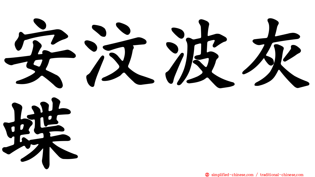 安汶波灰蝶