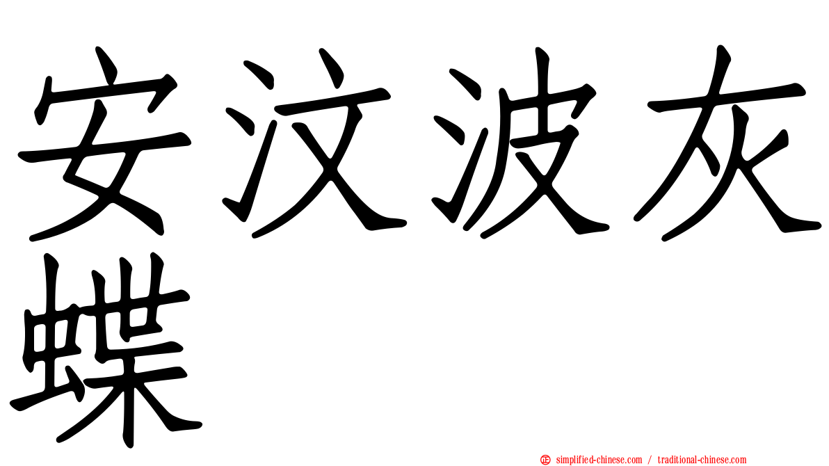安汶波灰蝶