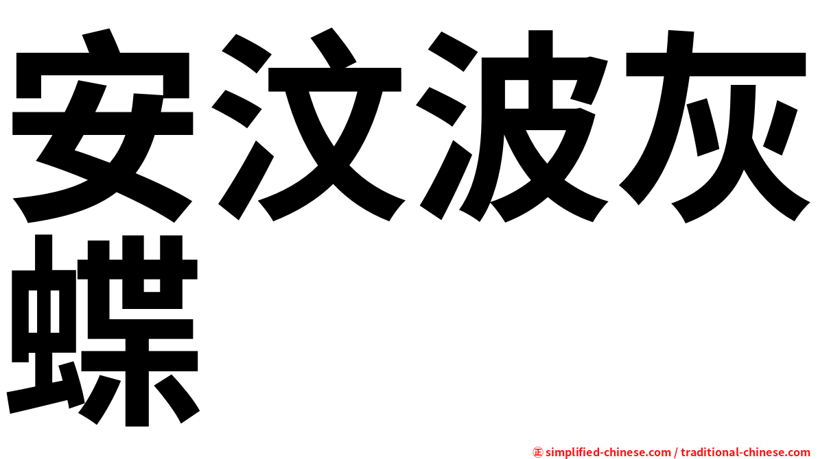 安汶波灰蝶