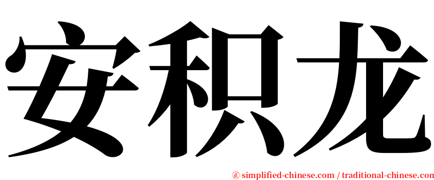 安积龙 serif font