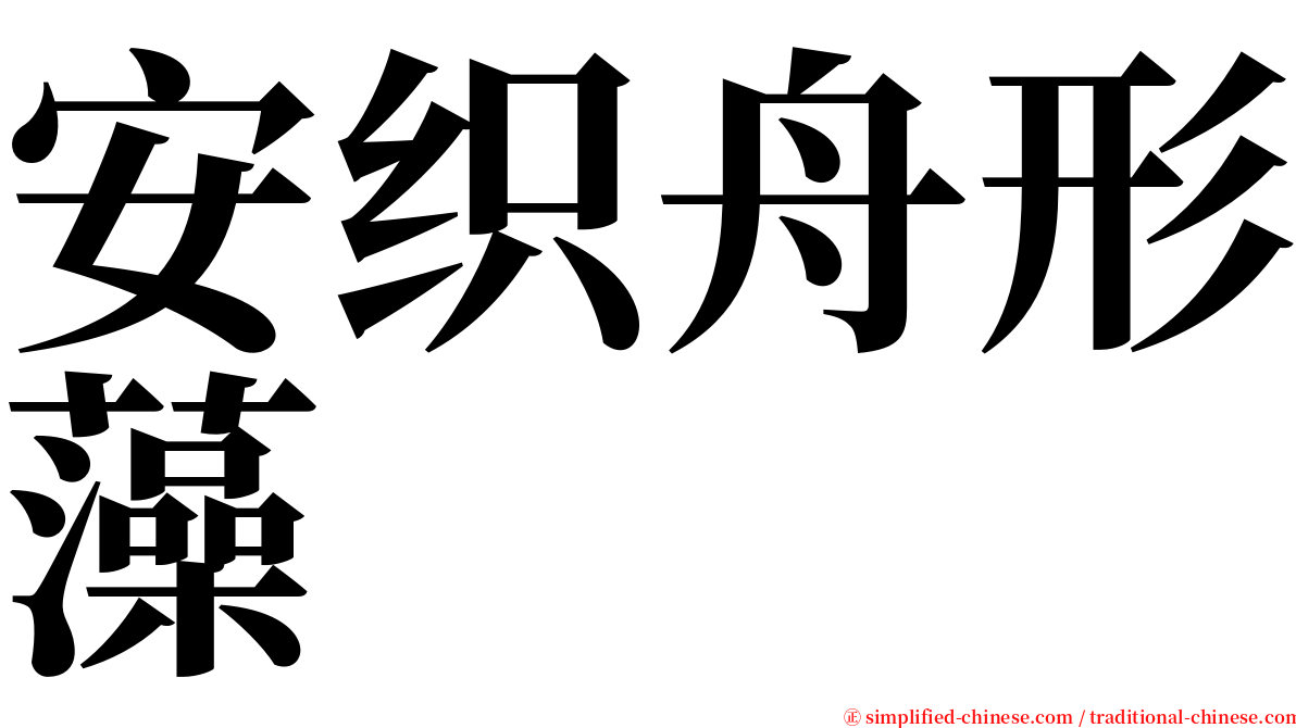 安织舟形藻 serif font