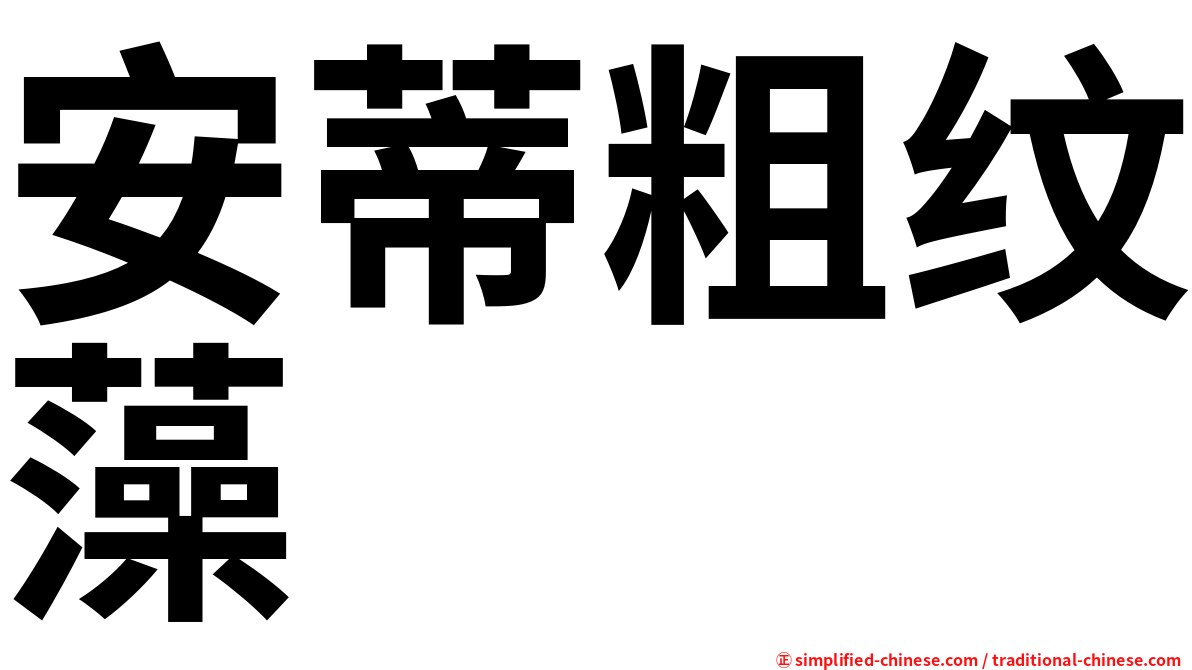 安蒂粗纹藻