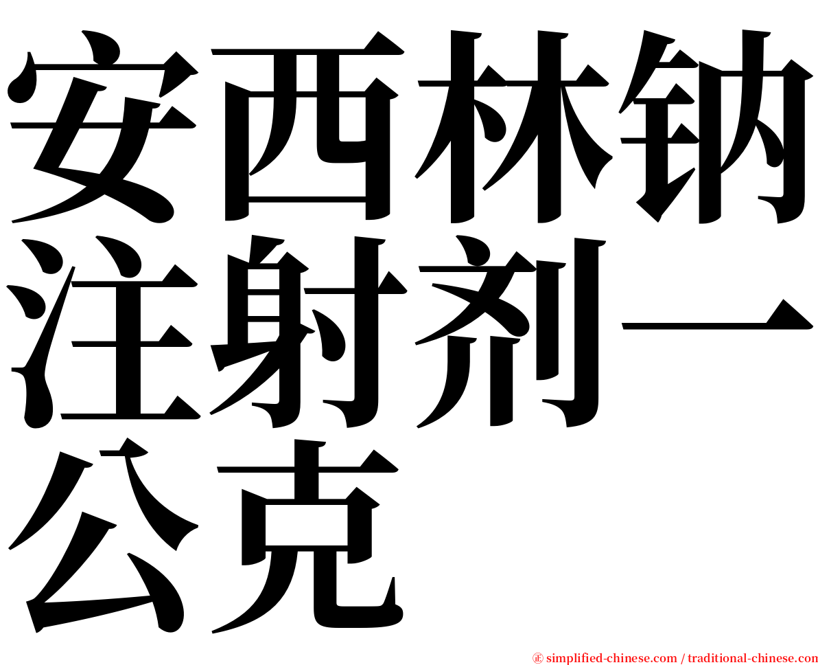 安西林钠注射剂一公克 serif font