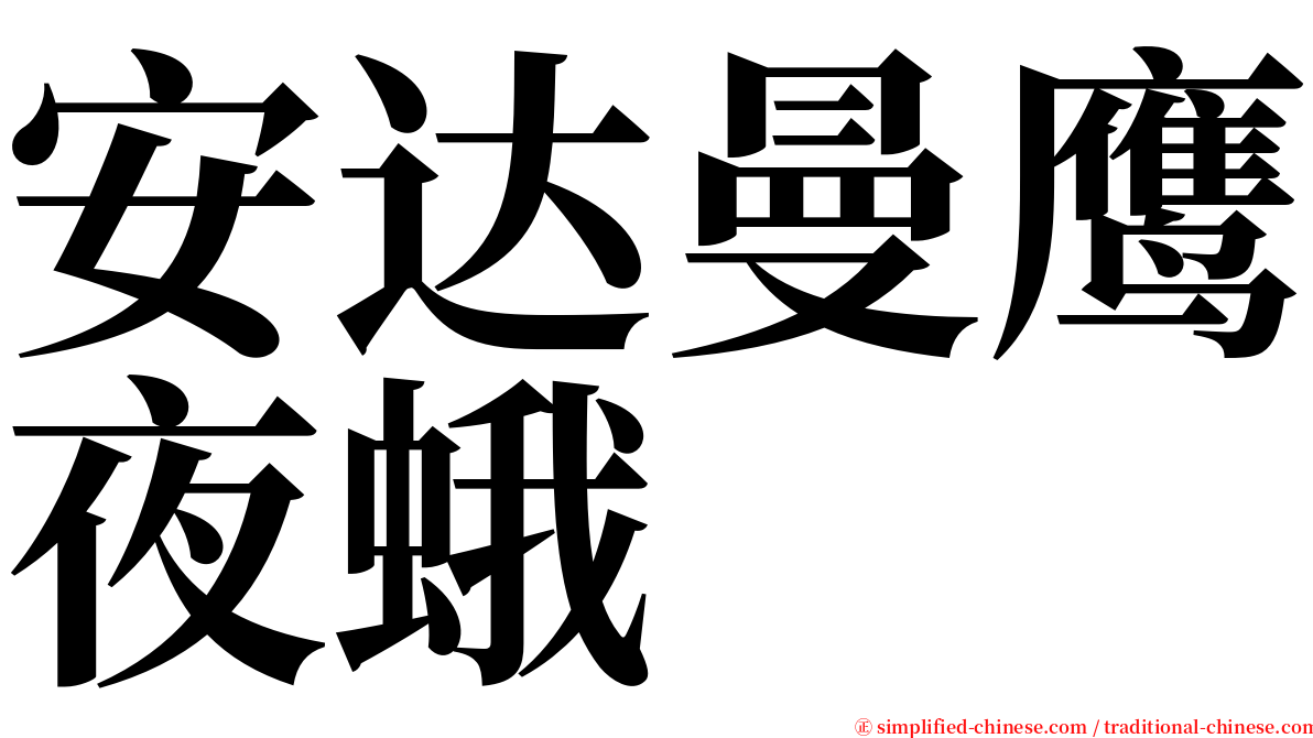 安达曼鹰夜蛾 serif font