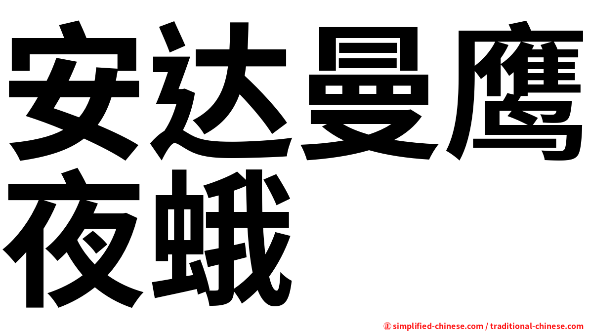 安达曼鹰夜蛾