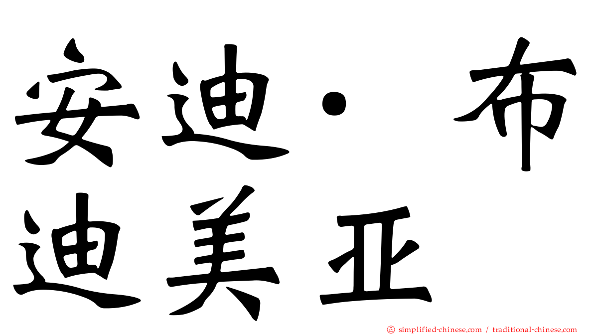 安迪·布迪美亚