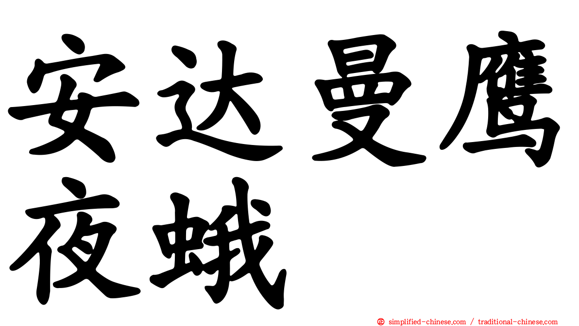 安达曼鹰夜蛾