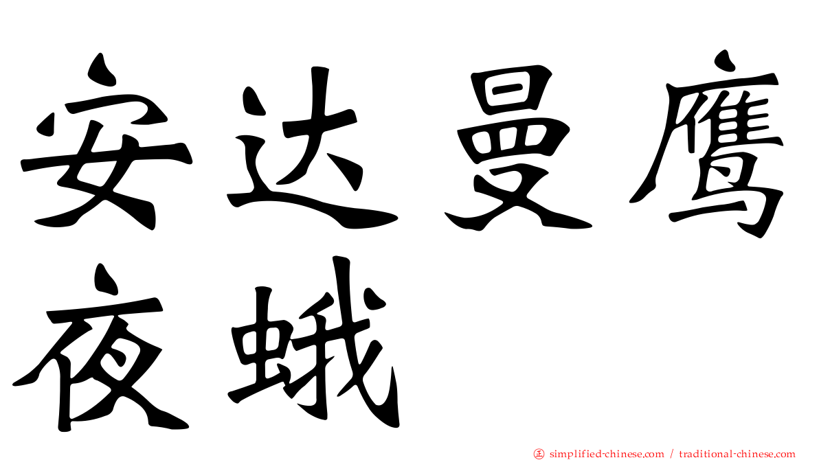 安达曼鹰夜蛾