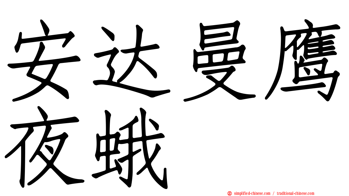安达曼鹰夜蛾