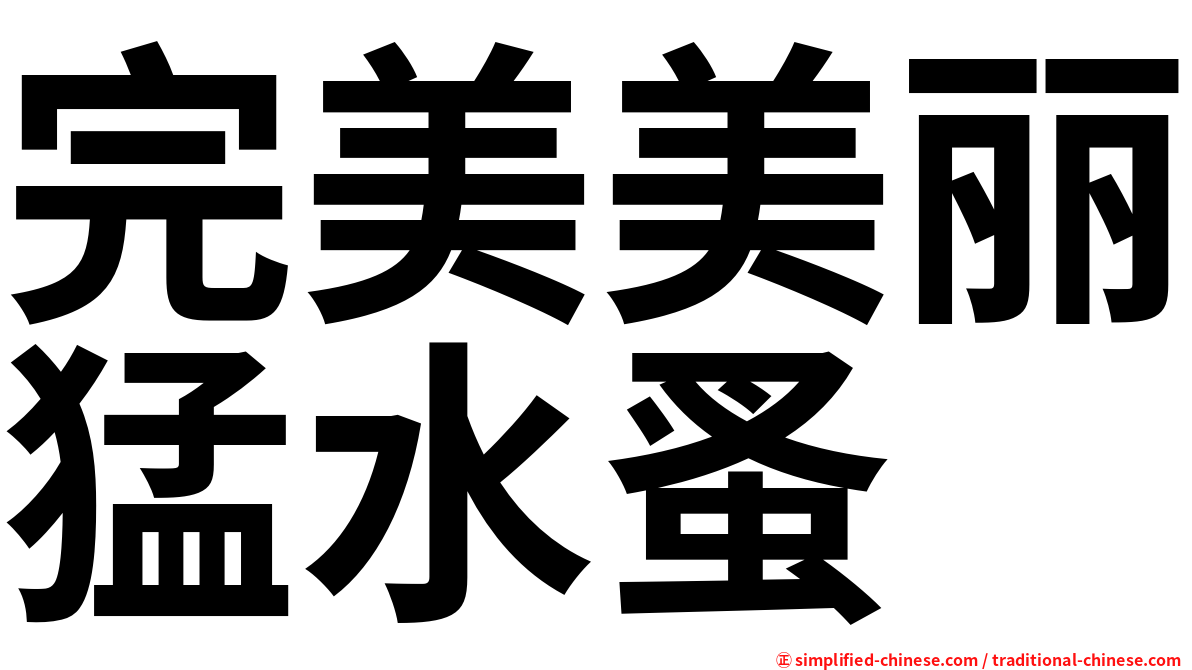 完美美丽猛水蚤