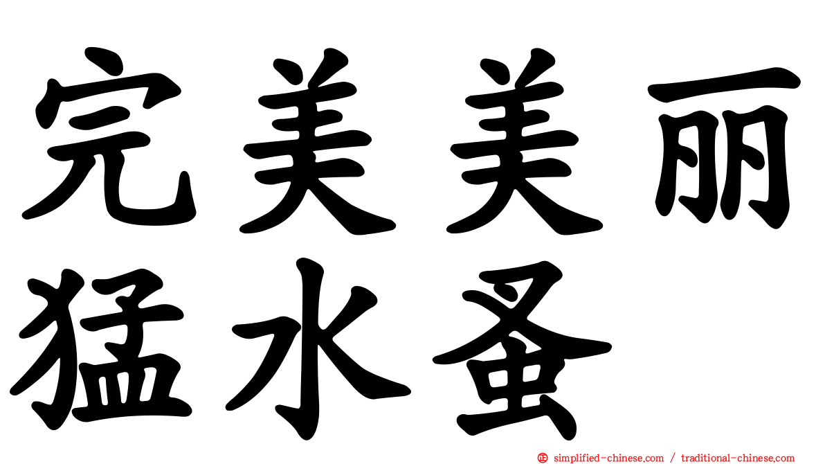 完美美丽猛水蚤