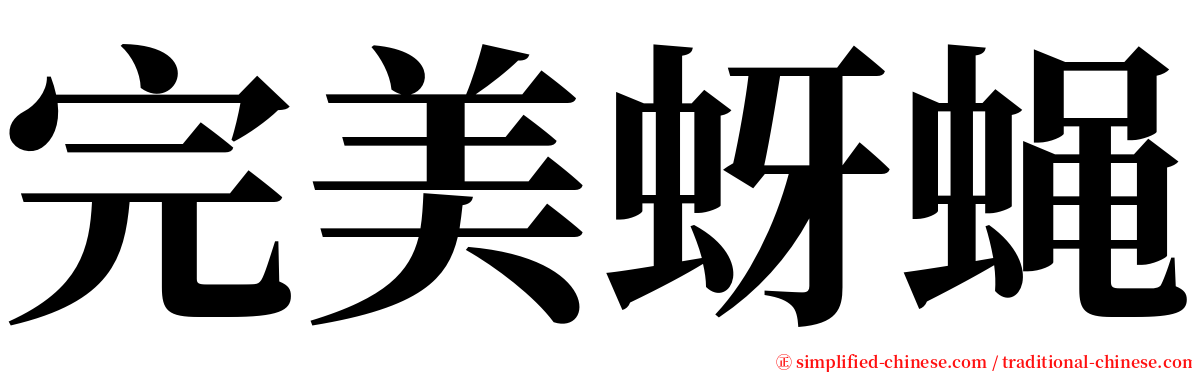 完美蚜蝇 serif font