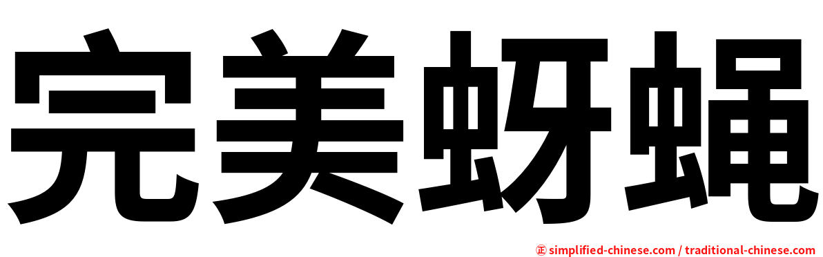 完美蚜蝇