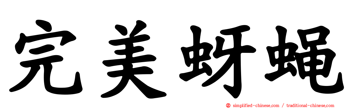 完美蚜蝇
