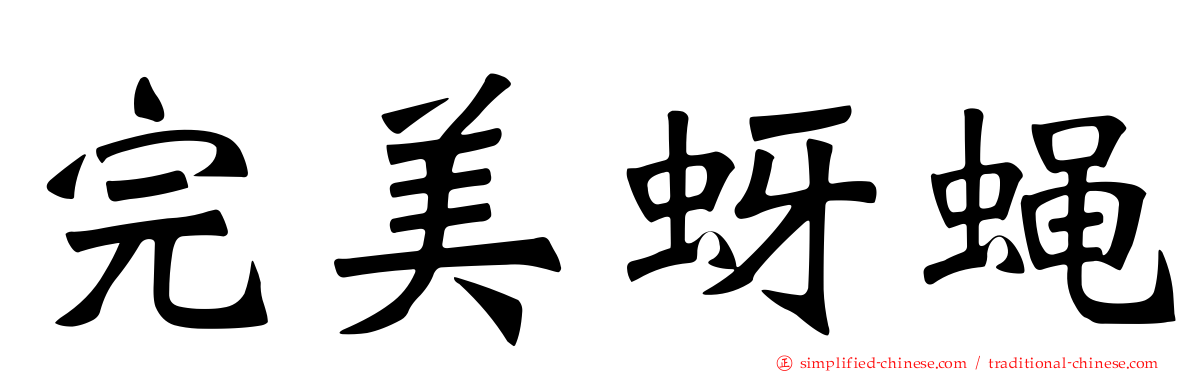 完美蚜蝇