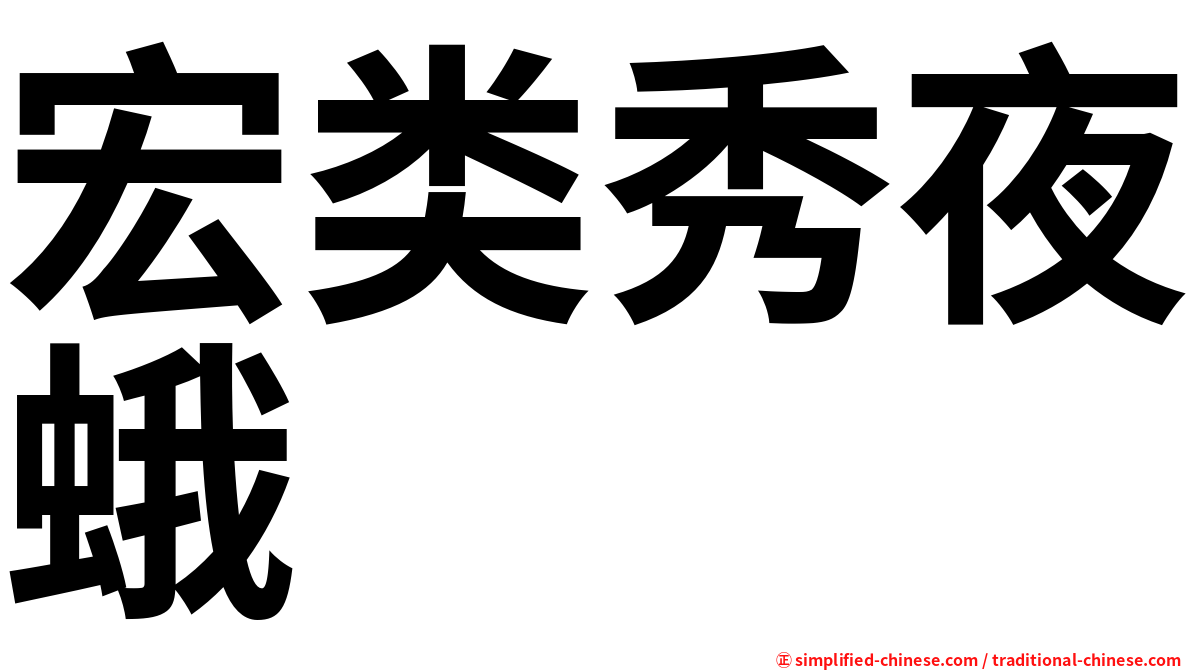 宏类秀夜蛾