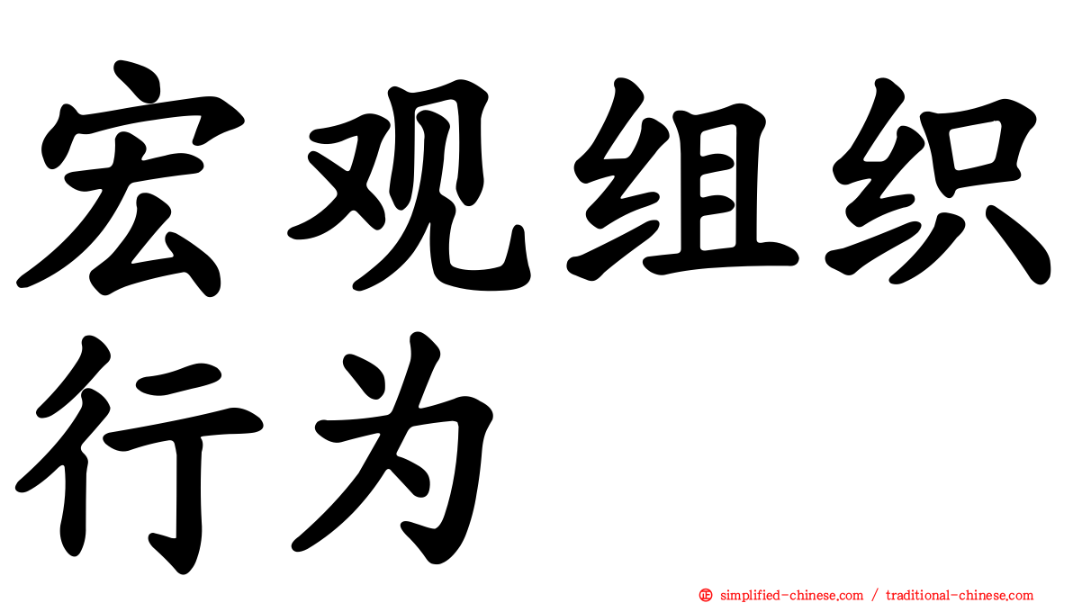 宏观组织行为