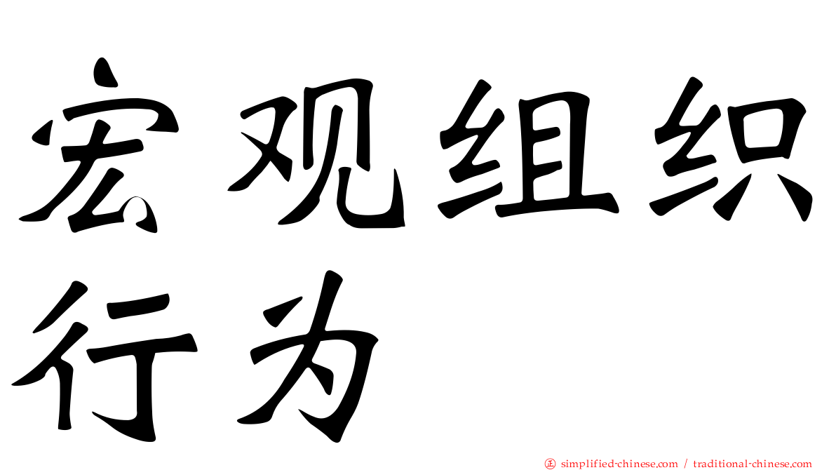 宏观组织行为