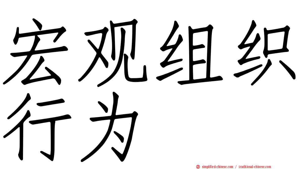 宏观组织行为